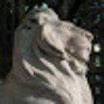 Mountain Mist Ice Cream